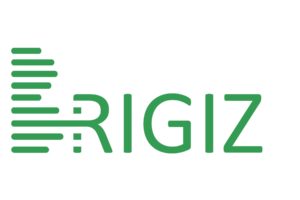 Introducing Brigiz: An App Made for Business Owners