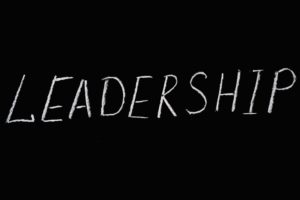 Creating a Successful Leadership Development Plan for Your Company